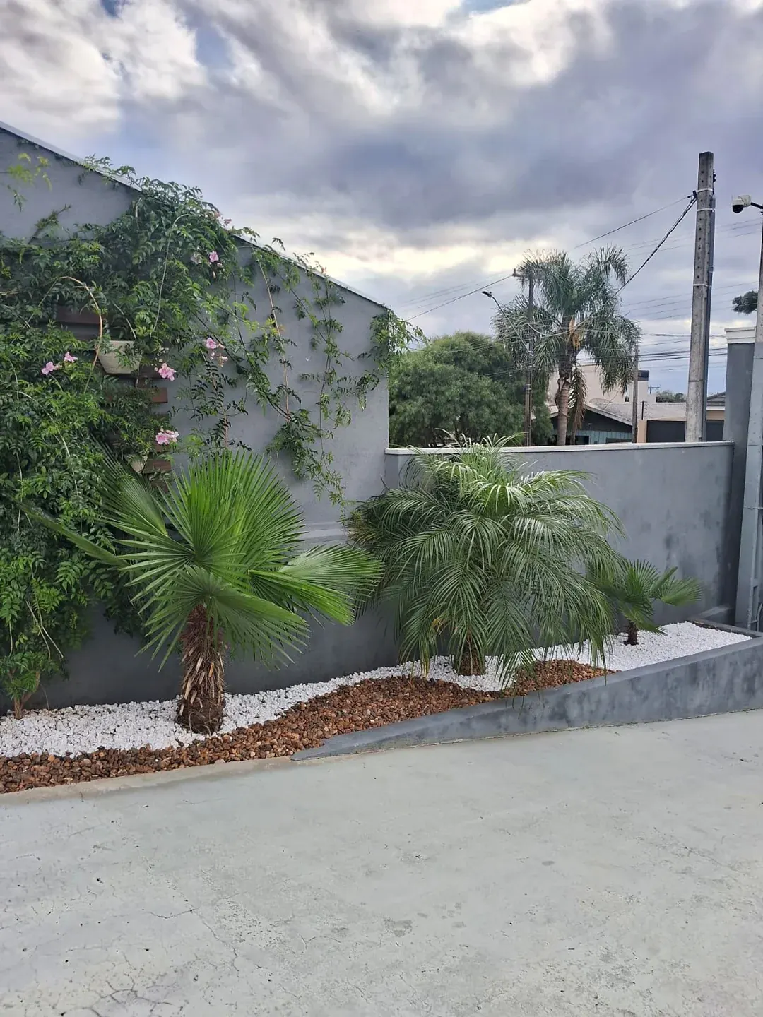 Canteiro com palmeiras e plantas ornamentais junto a um muro