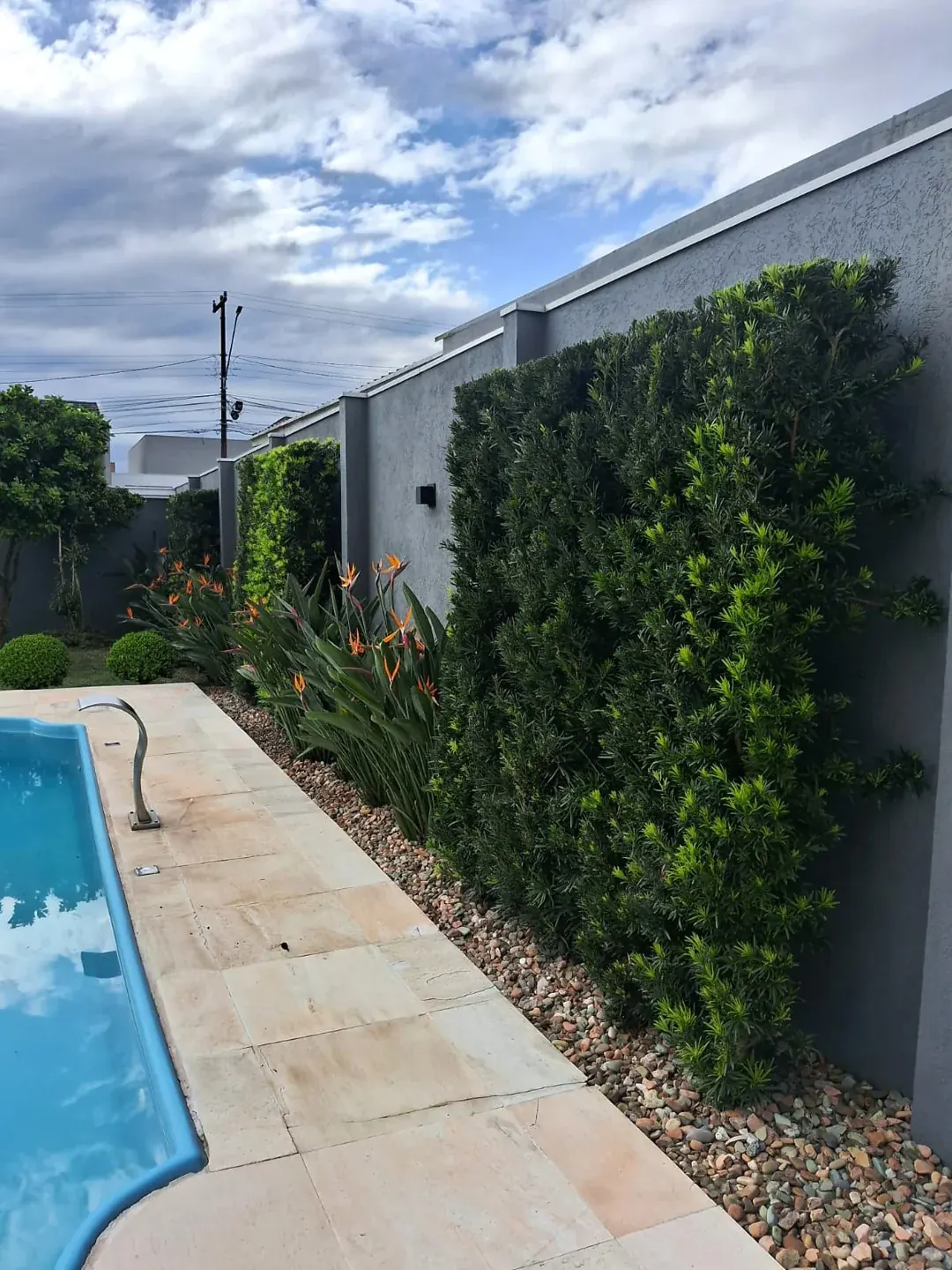 Vegetação ornamental junto ao muro e à piscina